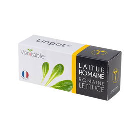 Veritable Romaine Lettuce Lingot
