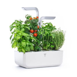 Veritable Arctic White Smart 4-Slot Indoor Garden