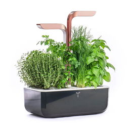 Veritable Black Copper Smart 4-Slot Indoor Garden