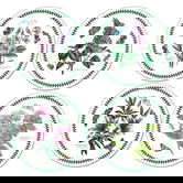 Portmeirion Botanic Garden Round Placemats Set of 4